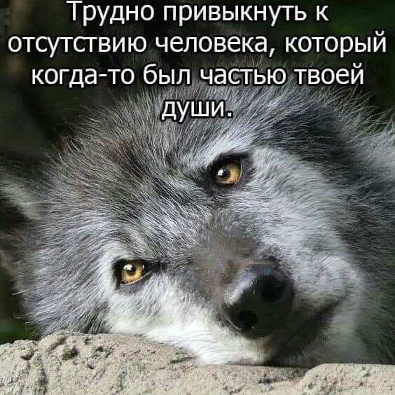 Трудно привыкнуть к отсутсгвию человека который когда то бь твоей
