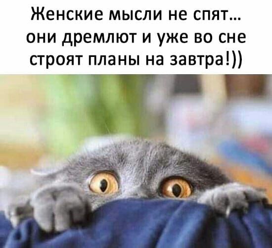 Женские мысли не спят они дремлют и уже во сне строят планы на завтра