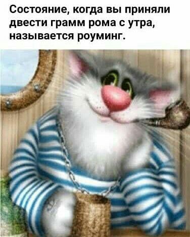 Состояние КОГДЗ ВЫ ПРИНЯЛИ дВЕСТИ ГРЗММ рома С утра называется РОУМИНГ
