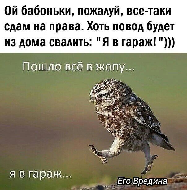 Ой бабоньки пожалуй всетаки сдам на права Хоть повод будет из дома свадить Я в гараж Пошло всё в жопу Я В гараж Его Вредина