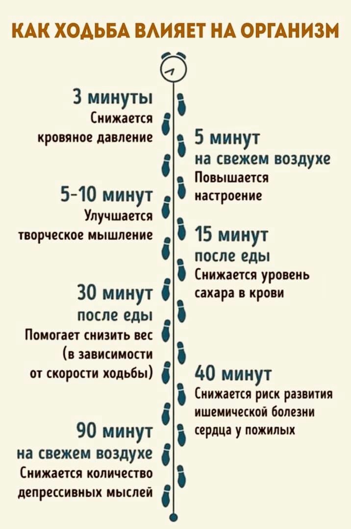 КАК ХОАЬБА ВАИЯЕТ НА ОРГАНИЗМ 3 минуты Снижается кровяное давление 5 минут на свежем воздухе Повышается настроение 510 минут Улучшается ТВОРЮСКОЕ мышление 315 мин т У после еды Снижается уровень сахара в крови 40 минут Снижается риск развития ишемической болезни сердца у пожилых 30 минут 0 после еды Помогает снизить вес в зависимости от скорости ходьбы 90 минут на свежем воздухе Снижается КОЛИЧЕСТ