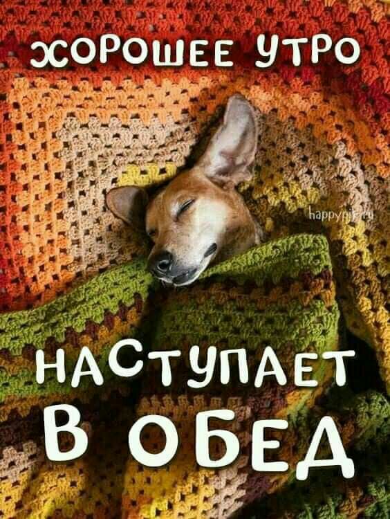 соРошЁЕ НТРо НАСтуПАЁг В 05