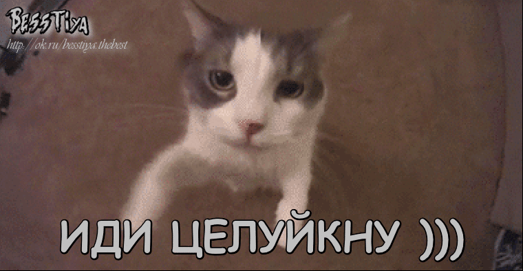 идицепужйкну