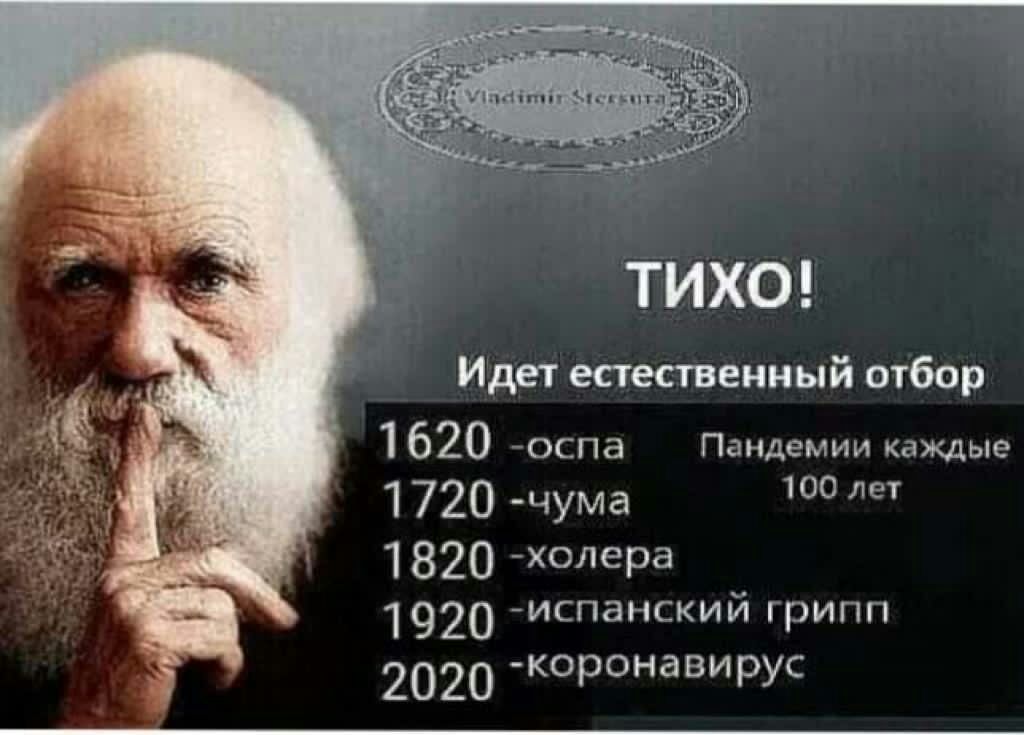 Идет естественный отбор 1620 оспа Пандемии каждые 1720 чума 100 лет 1820 олера 1920 ИСП8НСКИЙ ГРИПП 2020 коронави рус