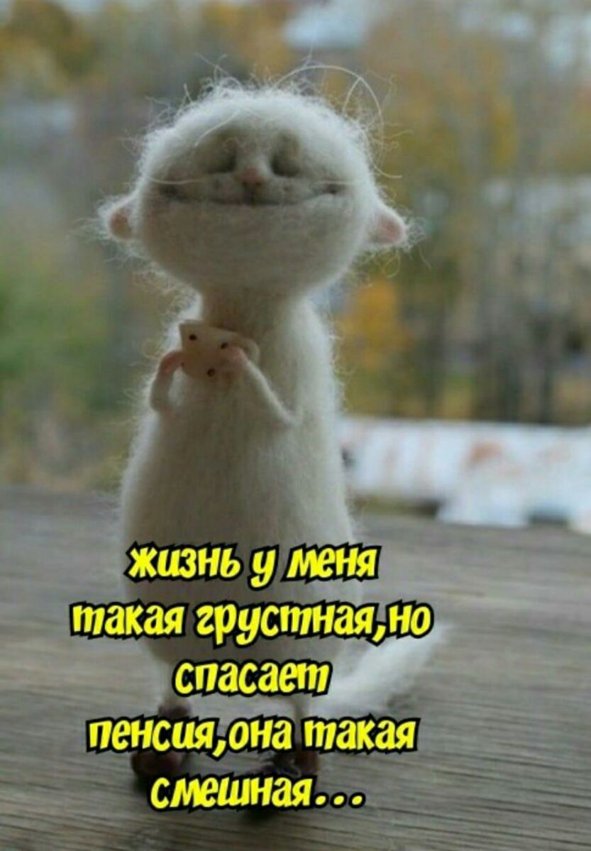 _ такая грустите спасает пенсиябна таКая стыки