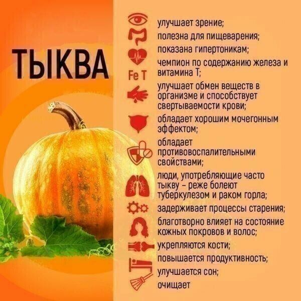 улучшает зрение полезна для пищеварения показана гипертпиикам чемпион по содержанию железа и витамина Т Ре Т улучшает обмен веществ в организме и способствует СЕЭПТЫВВВМВСТИ крови пбладает хорошим мочегонным эффектом обладает ППЩИВПВПСПВПИТЕПЬНЫМИ ЕБПИСТБЗМИ люди употребляющие часто тыкву реже болеют туберкулезом и раком горла ЗЗДЕРЖИВЗЕТ ПВПЦЭССЫ старения ЁПЗГОТВПВНО ВЛИПЕТ на БПСЮЙНИЭ КОЖИЫХ ППК