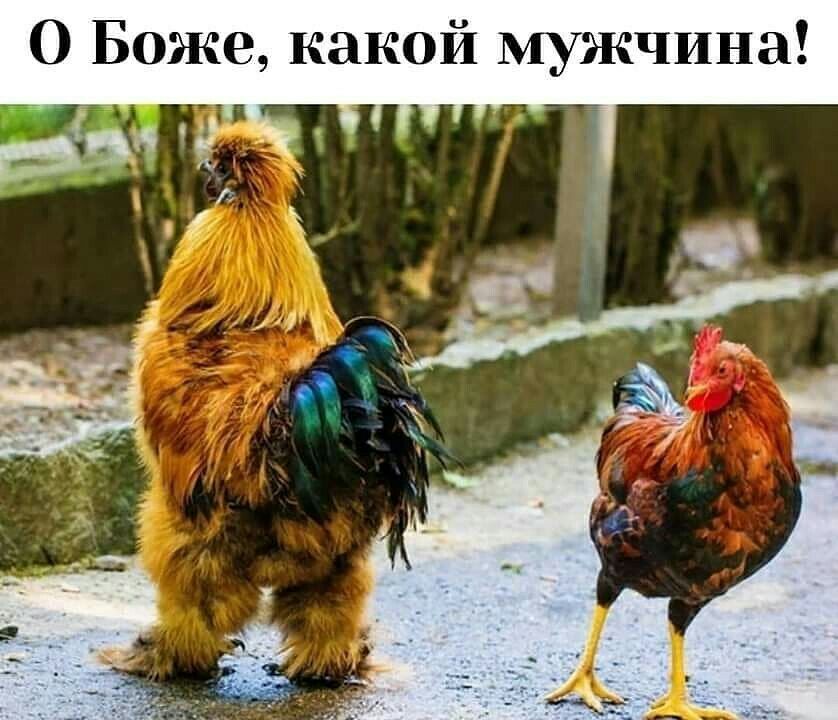 О Боже какой мужчина