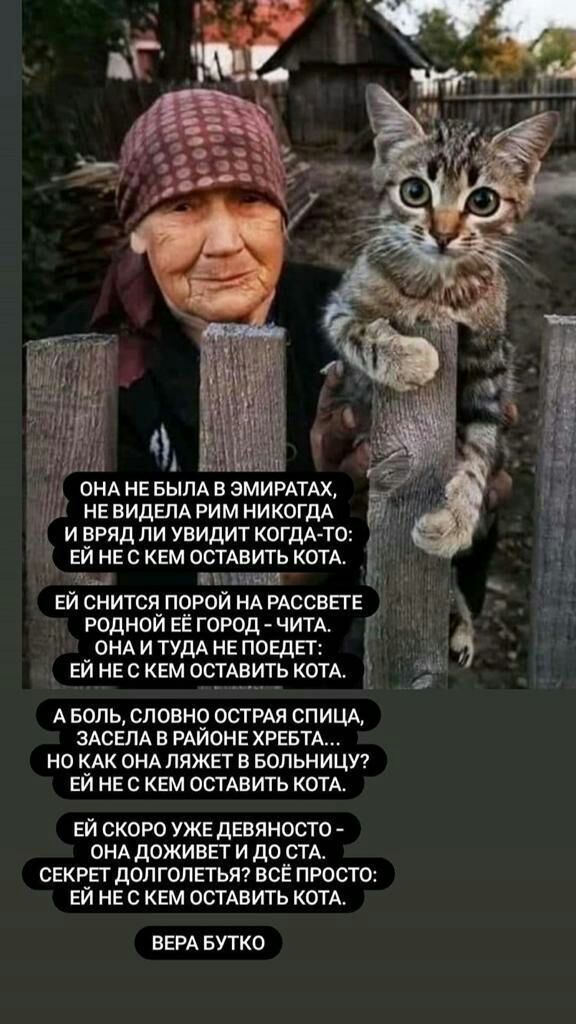 не ВИДЕПА рим никогдА и вряд ли увидит КОГДА ТО ей не с кем остдвить котд Ы ЩЖ Идиш _ ЕЙ снится порой НА РАССБЕТЕ родной ЕЁ город ЧИТА _г 4 ОНА И ТУДА НЕ ПОЕДЕТ ЕЙ НЕ С КЕМ ОСТАВИТЬ КОТА А БОЛЬ СЛОВНО ОСТРАЯ СПИЦА ЗАСЕПА В РАЙОНЕ ХРЕБТА НО КАК ОНА ПЯЖЕТ В БОПЬНИЦУ ЕЙ НЕ С КЕМ ОСТАВИТЬ КОТА ЕЙ СКОРО УЖЕ ДЕВЯНОСТО ОНА дОЖИВЕТ И до СТА СЕКРЕГ дОЛГОПЕТЬЯ ВСЕ ПРОСТО ЕЙ НЕ С КЕМ ОСТАВИТЬ КОТА ВЕРА БУТКО