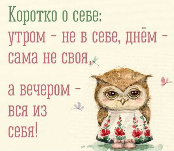 Коротко о сове утром не в севе днем сама не своя к вечером вон из