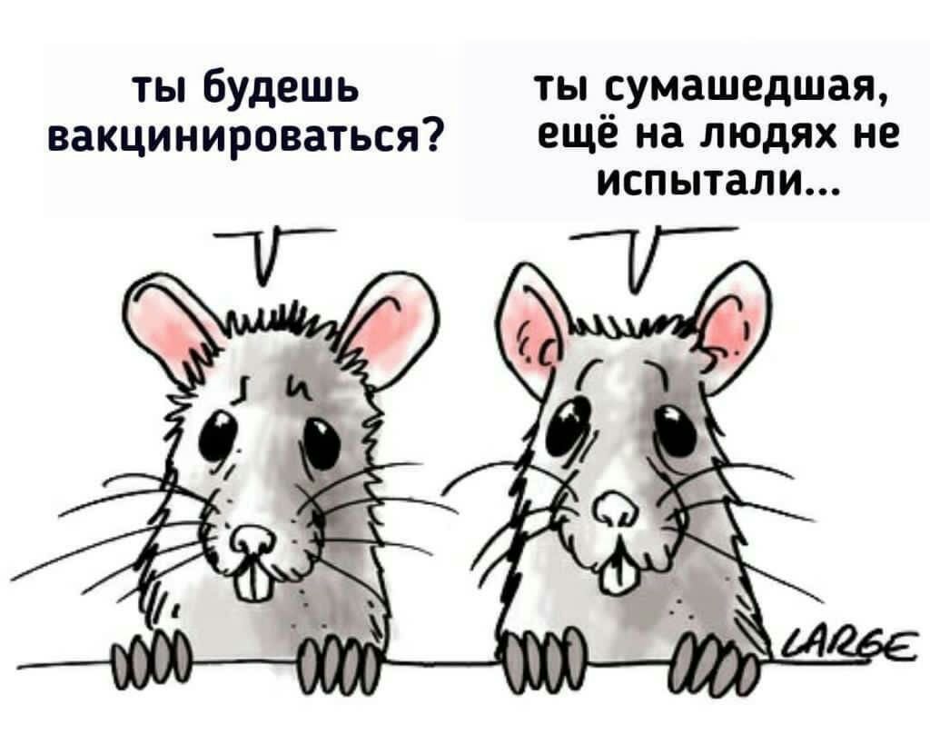 ты будешь ты сумашедшея вакцинироваться ещё на людях не испытали