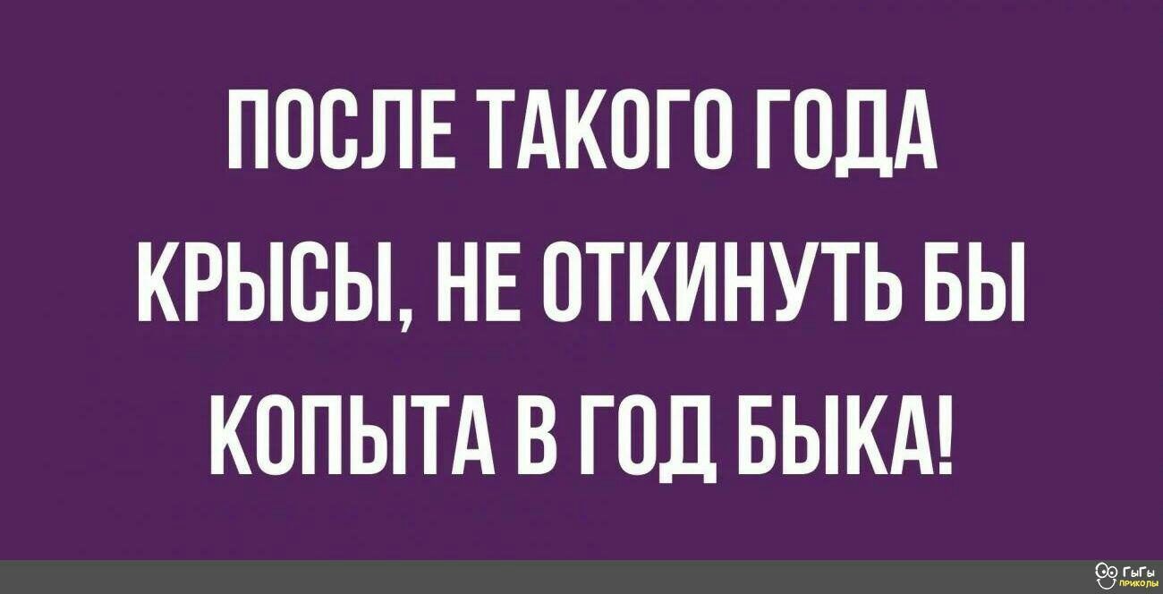 ПОСЛЕ ТАКОГО ГОДА КРЫСЫ НЕ ПТКИНУТЬ БЫ КОПЫТА В ГОД БЫКА