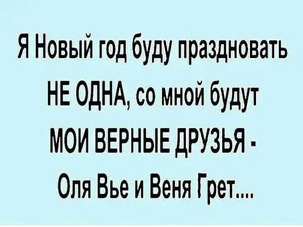 Я Новый год буду праздновать НЕ ОДНА со мной будут МОИ ВЕРНЫЕ ДРУЗЬЯ Оля Вье и Веня Г рет