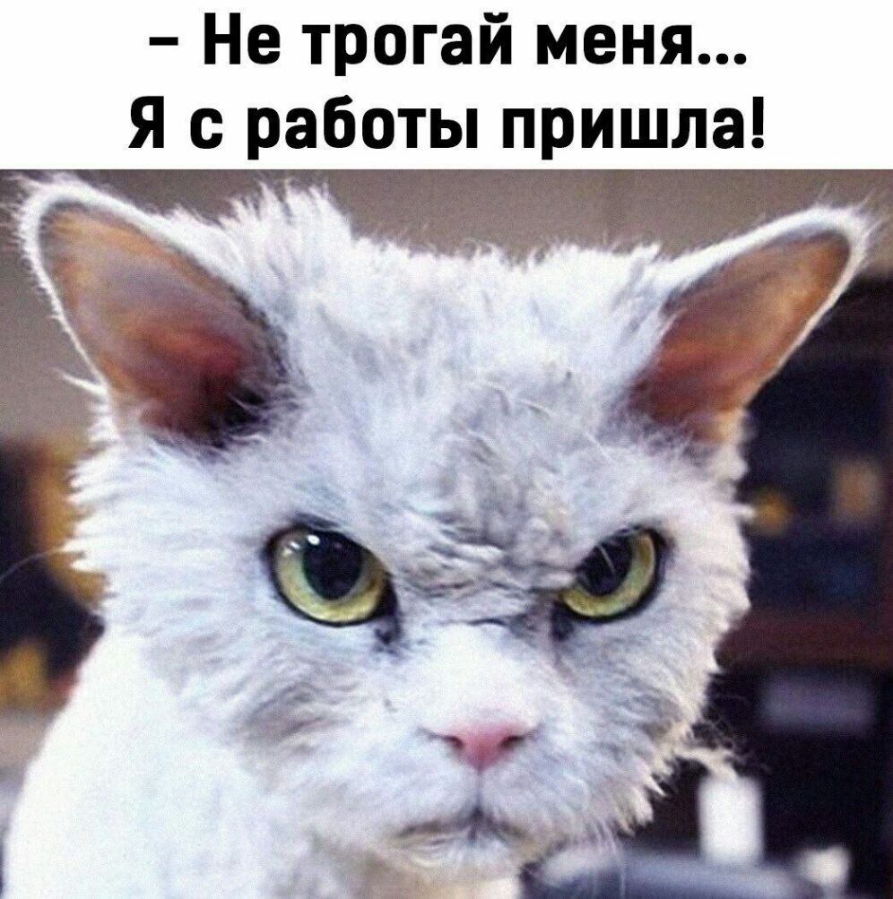 Не трогай меня Я с работы пришла