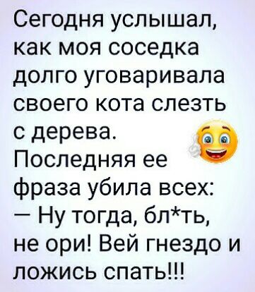 Сегодня услышал как моя соседка долго уговаривала своего кота слезть с дерева Последняя ее фраза убила всех Ну тогда блть не ори Вей гнездо и ложись спать