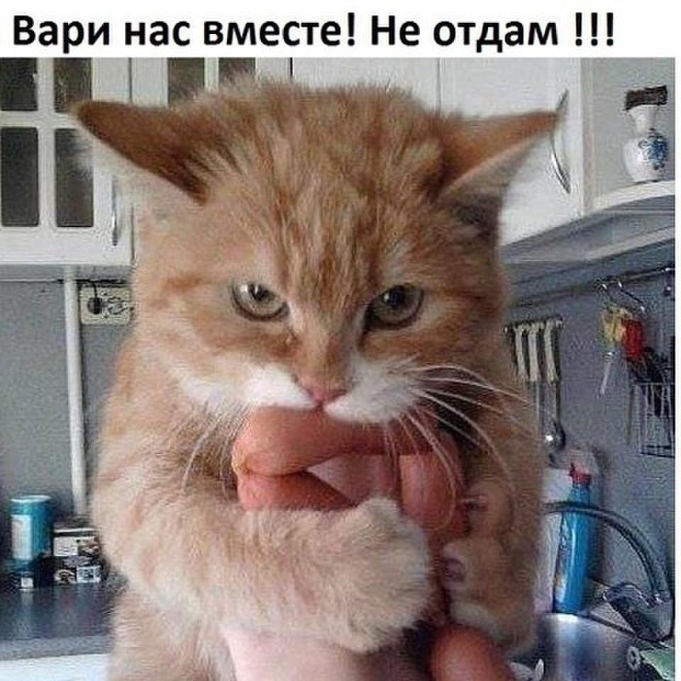 Вари нас вместе Не отдам