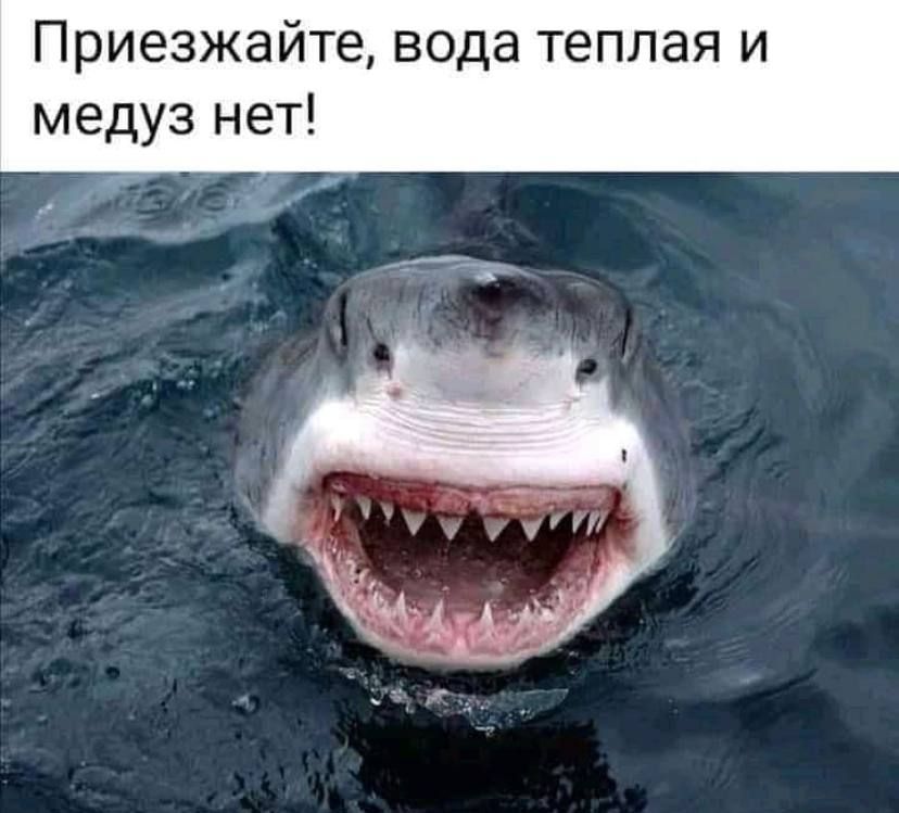 Приезжайте вода теплая и медуз нет