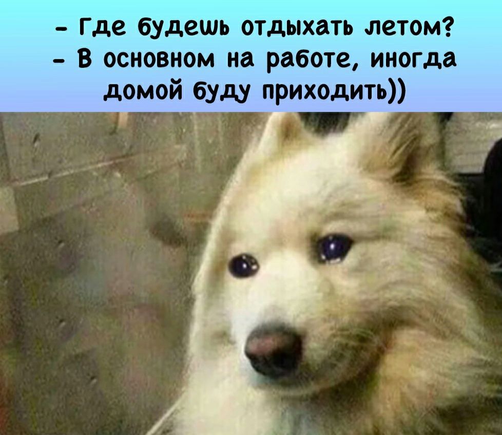 Где будешь отдыхать летом в основном на работе иногда домой буду приходить