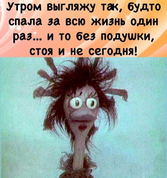 Утром выгляжу так будто спала за всю жизнь один раз и то без подушки стоя и не сегодня