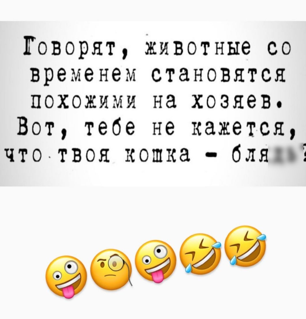 Говорят животные со временем становятся похожими на хозяев Вот тебе не кажется что твоя кошка блядь ебёдд