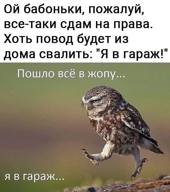 Ой бабоньки пожалуй все таки сдам на права Хоть повод будет из дома свалить Я в гараж Пошло всё в жопу я в гараж