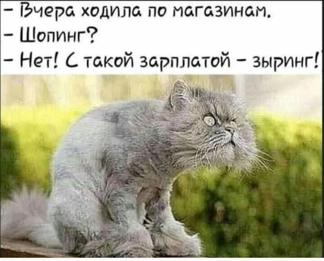 Вчера ходила по магазинам Шопинг Нет такой зарплатой зыринг