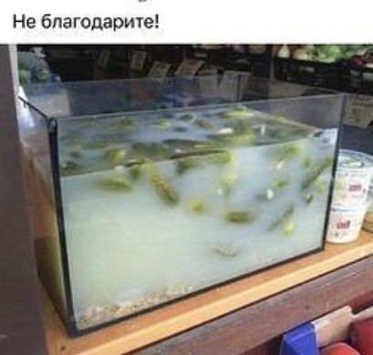 Не благодарите