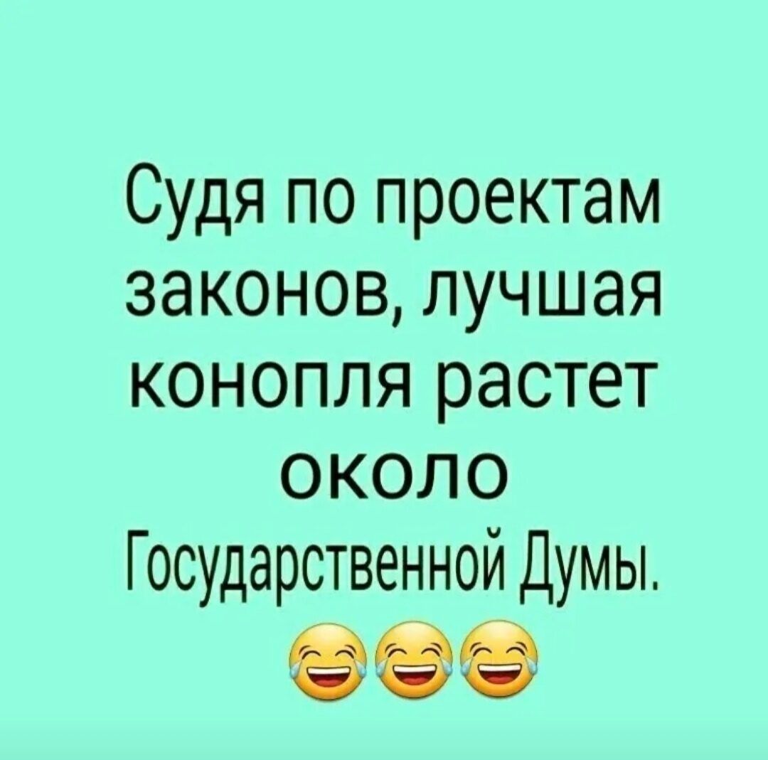 Судя по проектам законов лучшая конопля растет около Государственной Думы