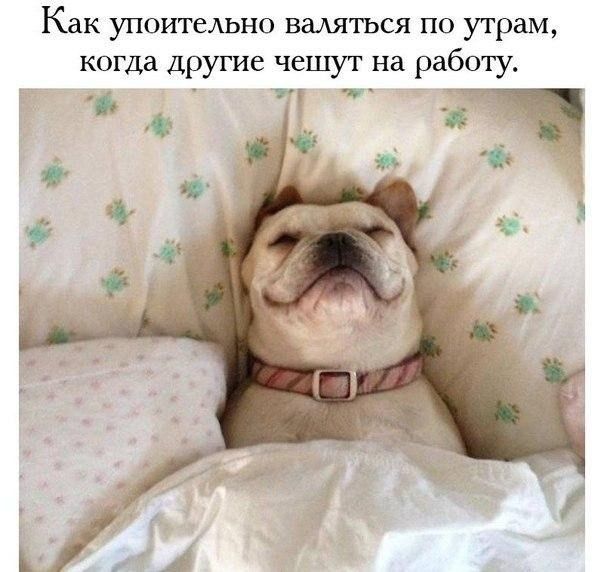 Как упоитедьно вадяться по утрам когда другие чешут на работу