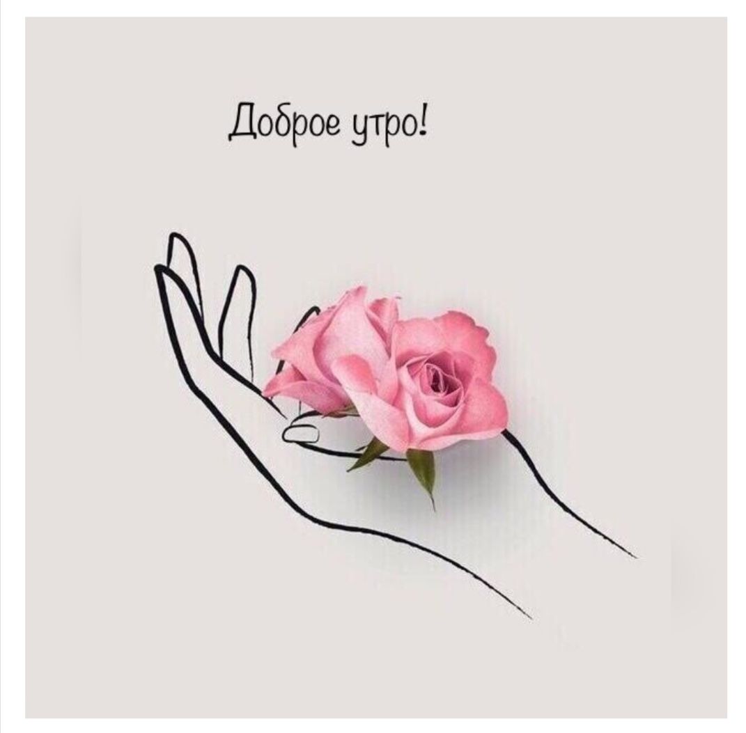 Доброе утро!