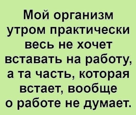 Мой организм утром практически весь не хочет вставать на работу а та часть которая встает вообще о работе не думает