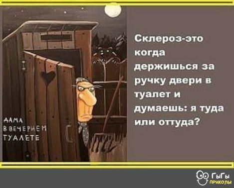 Склероз это когда держиться за ручку двери в туалет и думаешь я туда или оттуда ГиГн Ш мыш