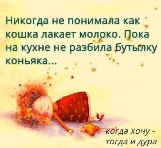 Никогда не понимала как КОШКЗ ЛЗКЗЕТ МОЛОКО Пока на кухне не разбила бутылку коньяка _ огда хочу тогда и дура