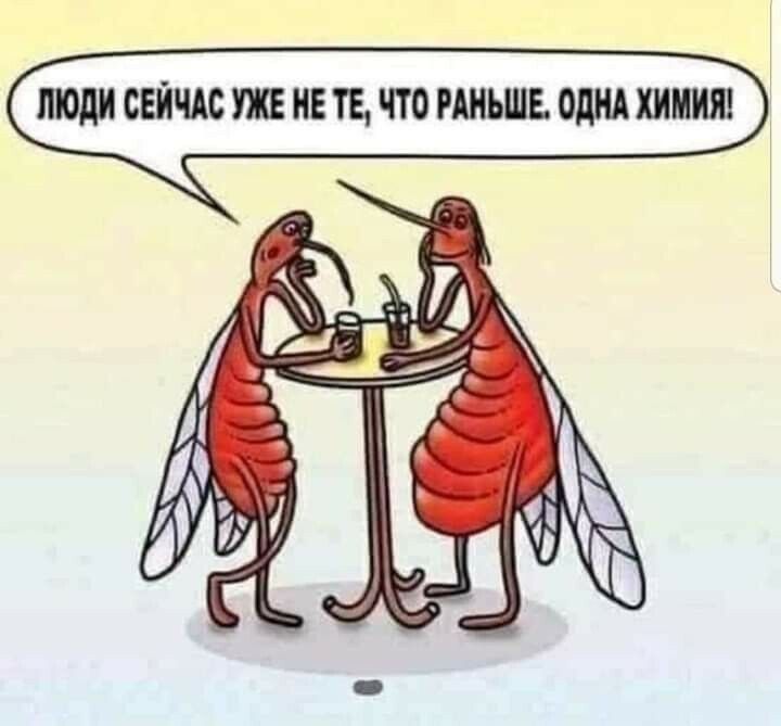 Щш нете, что раньше, одна. Хим