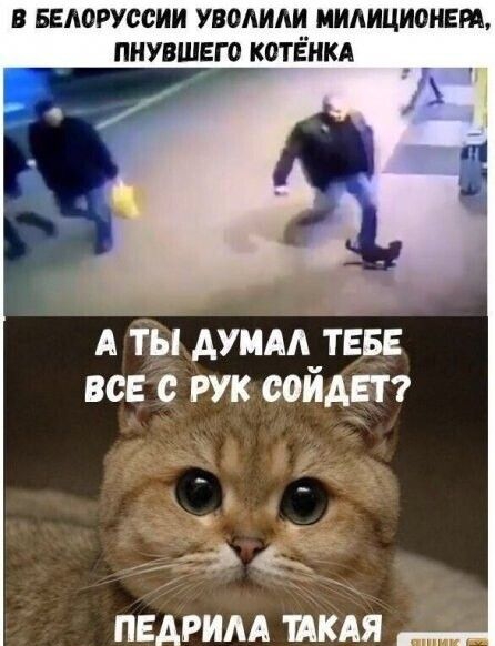 БЕЛОРУССИИ УВОАИАИ МИАНЦИОНЕШ ПНУВШЕГО КОТЁНКА думм тез все РУК сойдя