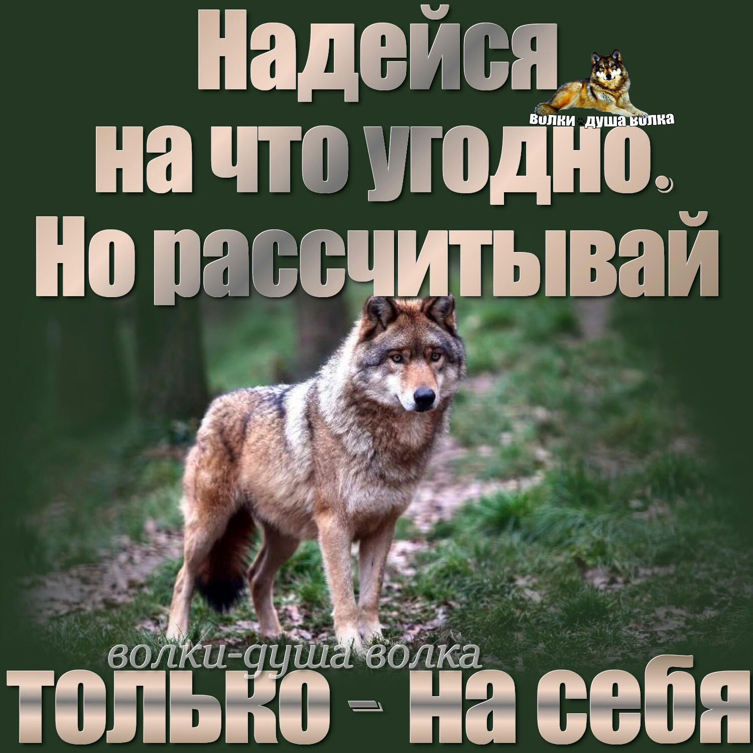 иадытя на что шодЁ но паасчитывай Ей ЛКН а На ее