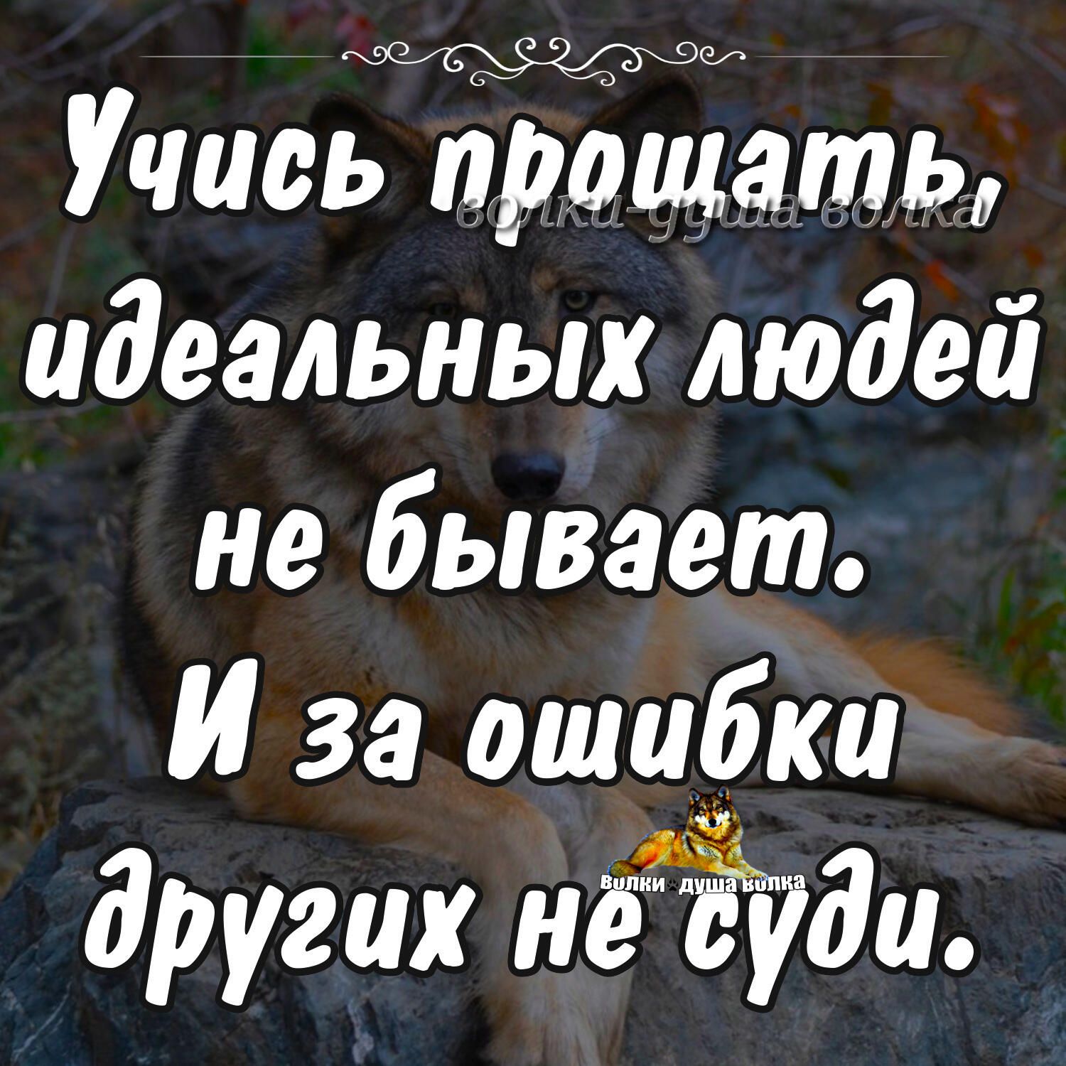 Учись примата идеальных людей не бывает И за ошибки других неуди