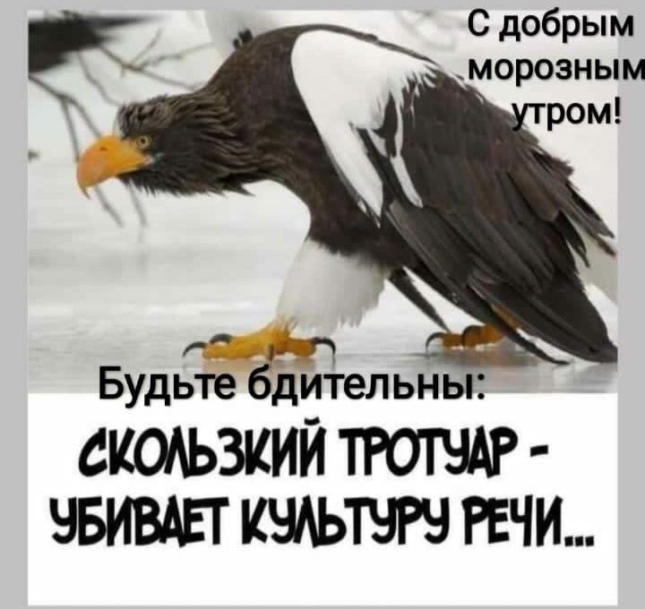 С добрым морозным Р Г Будьте бдительны СКОАЬЗКИЙ ТРОТЧАР ЭБИВАЕГ РЕЧИ