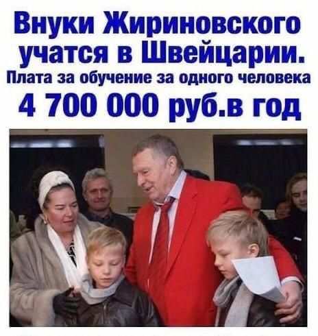 Внуки Жириновского учатся в Швейцарии Плата за обучение за одного человека 4 700 000 рубв год