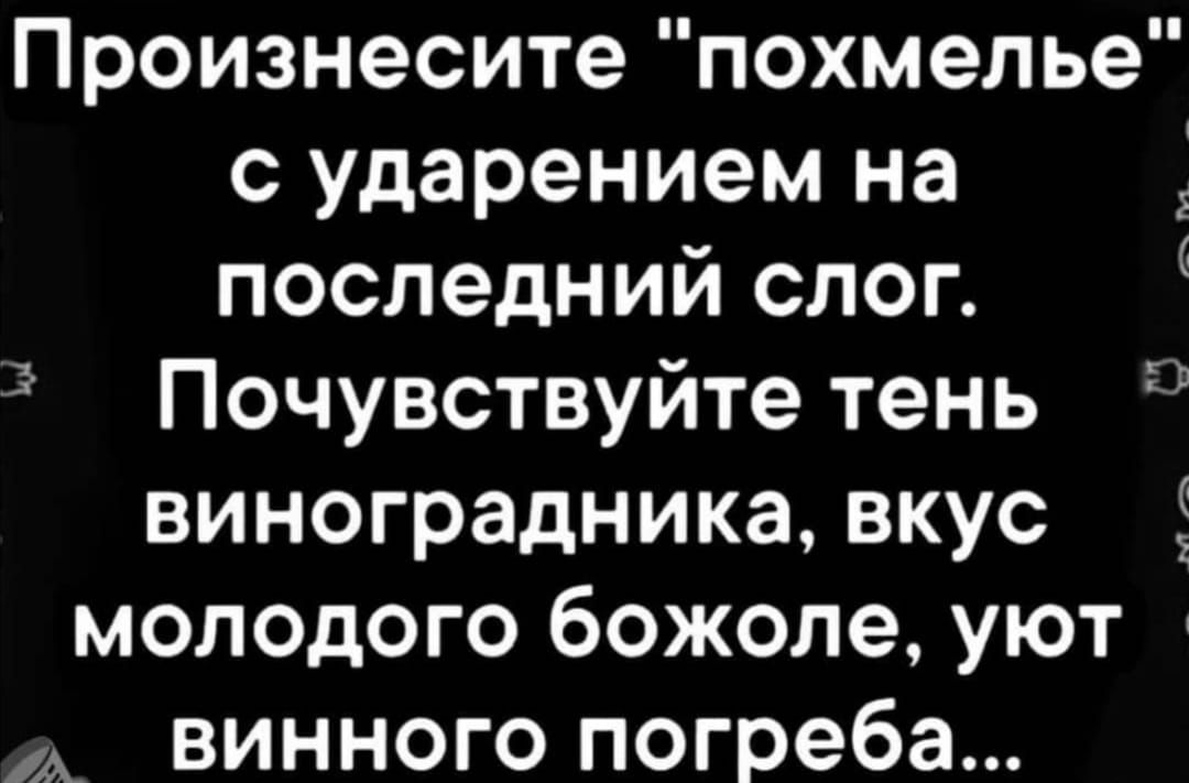Произнесите похмелье с ударением на последний слог Почувствуйте тень виноградника вкус 5 молодого божоле уют А винного погреба С и