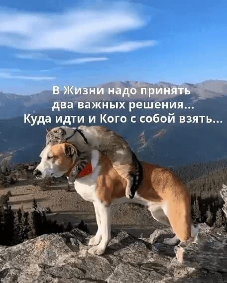 дваважныхрешеиия Куда идти и Кого собой взять
