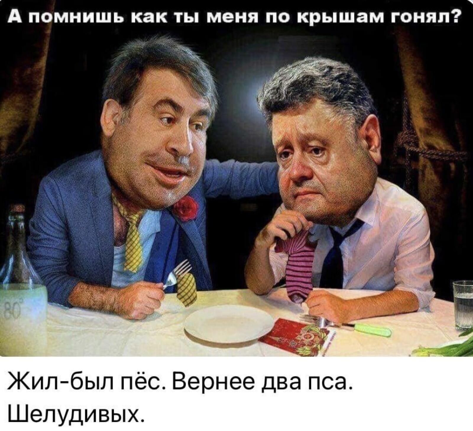 А ПОМНИШЬ как ТЫ МЕНЯ ПО крышам ГОНЯП Жилбыл пёс Вернее два пса Шепудивых