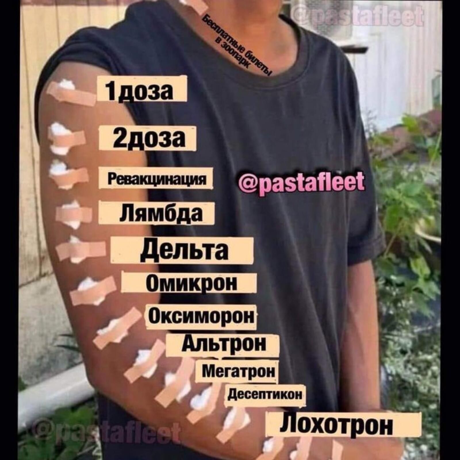 В  я   1доза к 2доза з  рекцещия разапее ф'щщ'ъ х