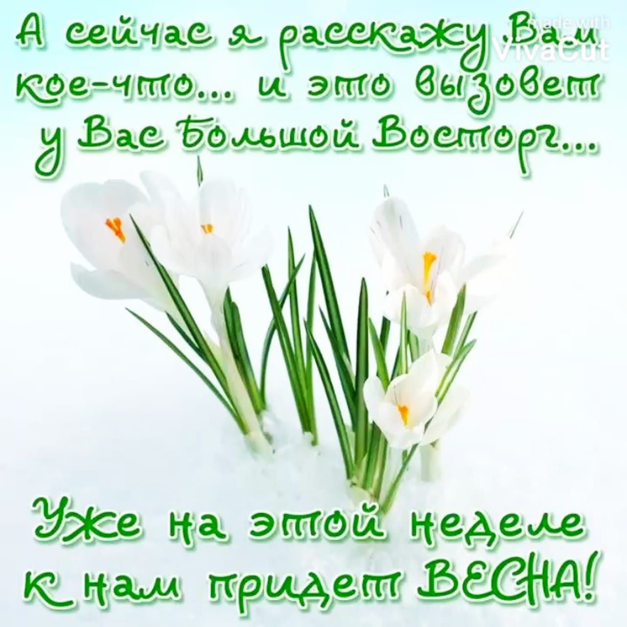 сейчае расскажу Вам кфе чито эттф ВЫа ч п р Вае Ъмщц ошоея_