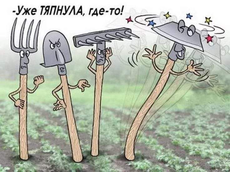 то Уже ТЯПНУАА гАе