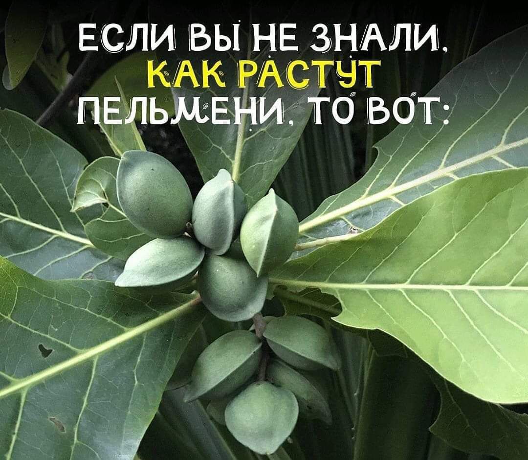 ЕСЛИ ВЫ НЕ влили как Астчт