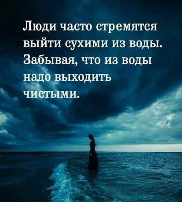 Люди часто стремятся выйти сухими из воды За ывая что из воды