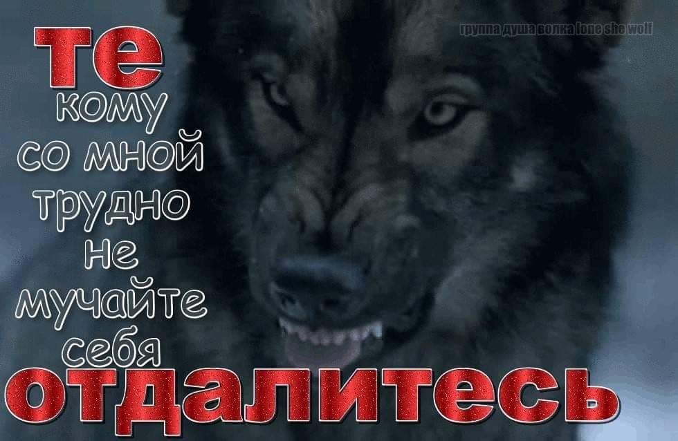 те у трудюсф МЁЁЁЙЁ адалт