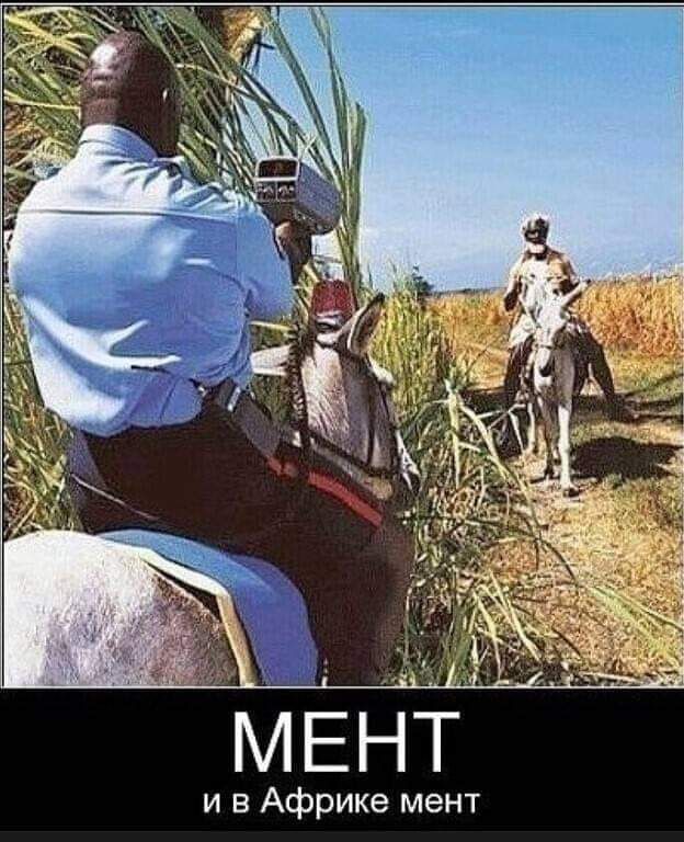 и в Африке мент