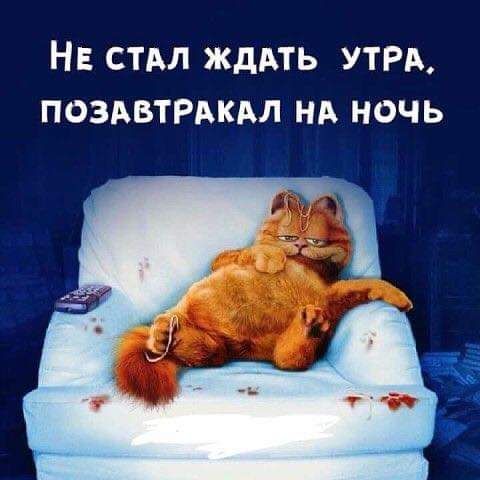 НЕ стдл ЖДАТЬ УТРА ПОЗАБТРАКАЛ нд ночь