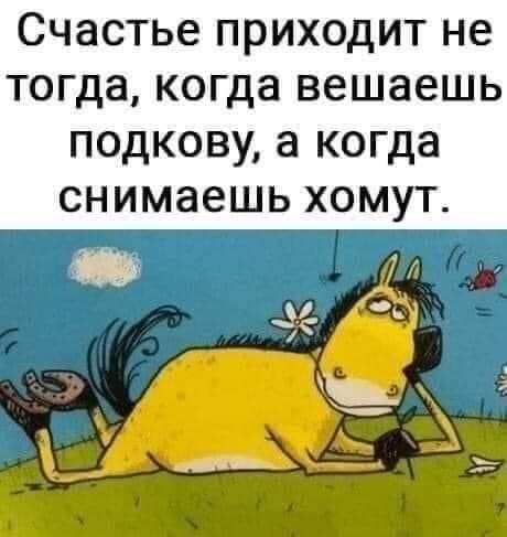 СЧЭСТЬВ ПРИХОДИТ не тогда когда вешаешь ПОДКОВУ а когда СНИМЭЗШЬ ХОМУТ
